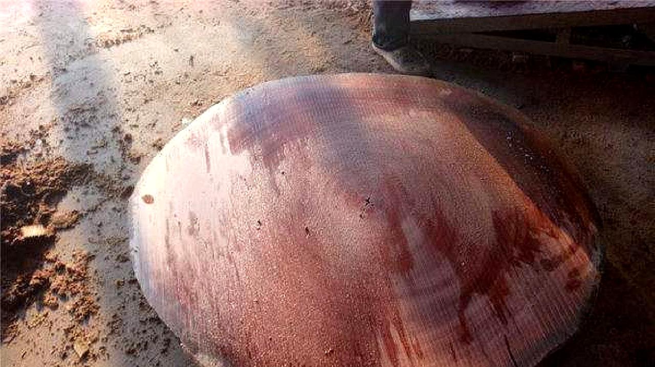 四川一小伙在家中翻出一块旧菜板,百年不裂,经鉴定后一夜暴富