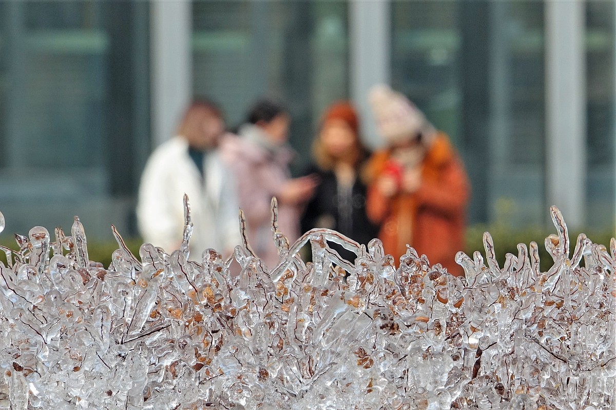 气温与降水对草地生态系统的影响 - 深入解析