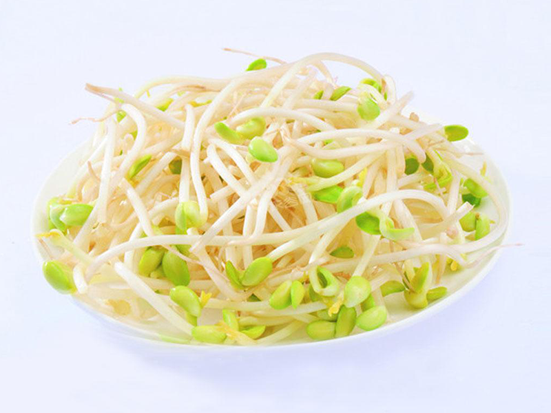 豆芽:品种丰富,营养全面,是常见的蔬菜