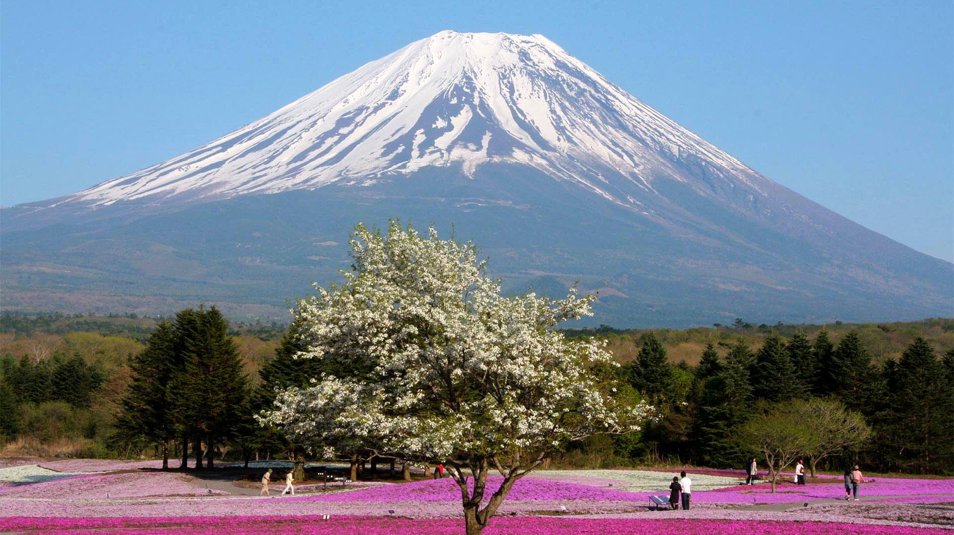 [图]日本富士山顶部的雪真是台风刮没的?网友解释:可别冤枉台风了