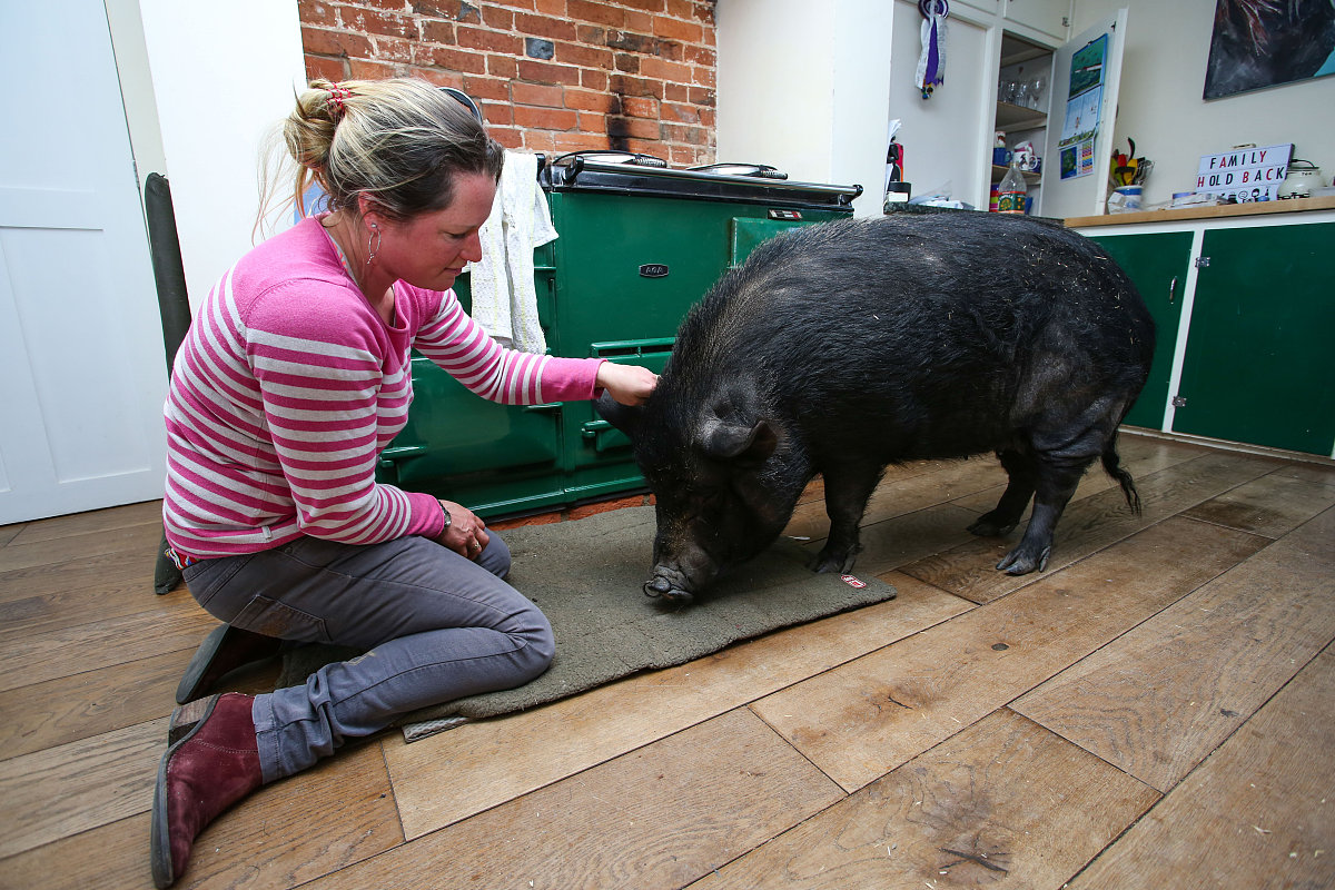 来自妈妈的期盼：嵩林，我们一直在等你