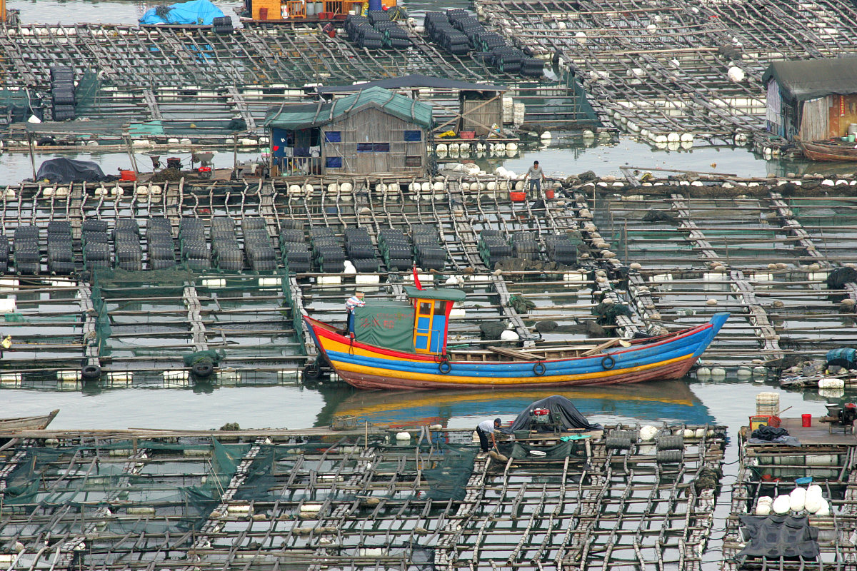 2012年02月28日,福建省宁德市,霞浦鱼排***_***+++_+++福建,鱼排,霞浦