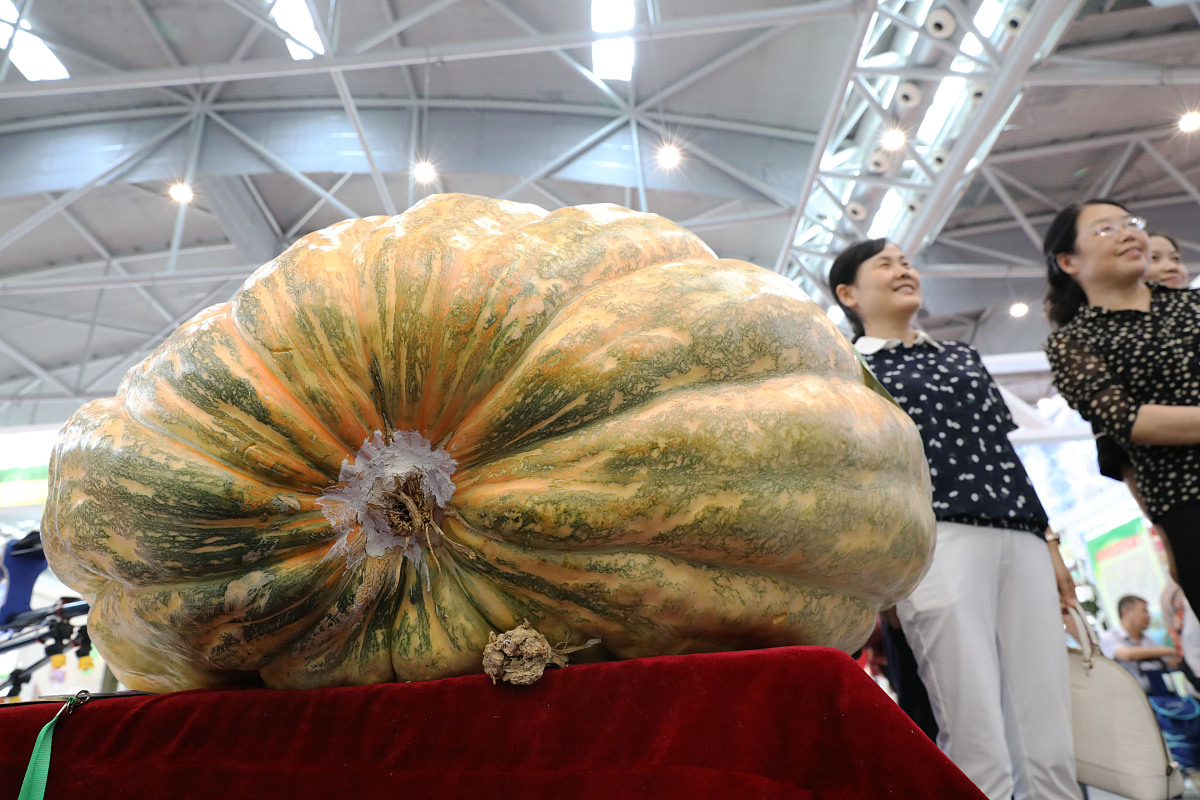 2020年重庆农业学校农产品营销与储运招生