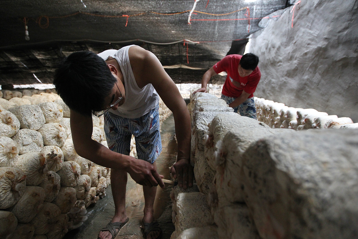 2022年贵州农业职业学院五年制大专招生简章