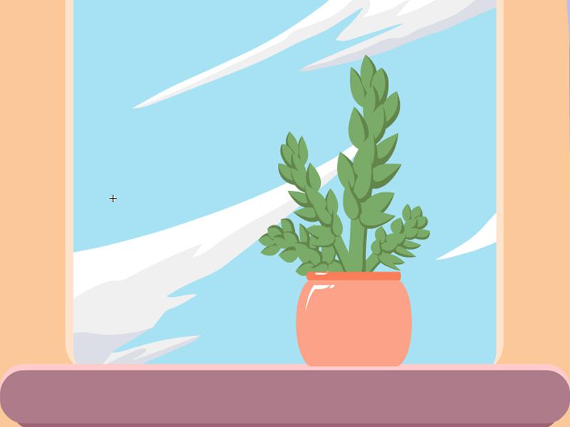 「秒懂少儿」小小的瓦松竟有如此强大的功能