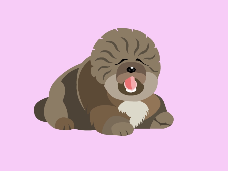 鹰獒:一种体型较小的獒