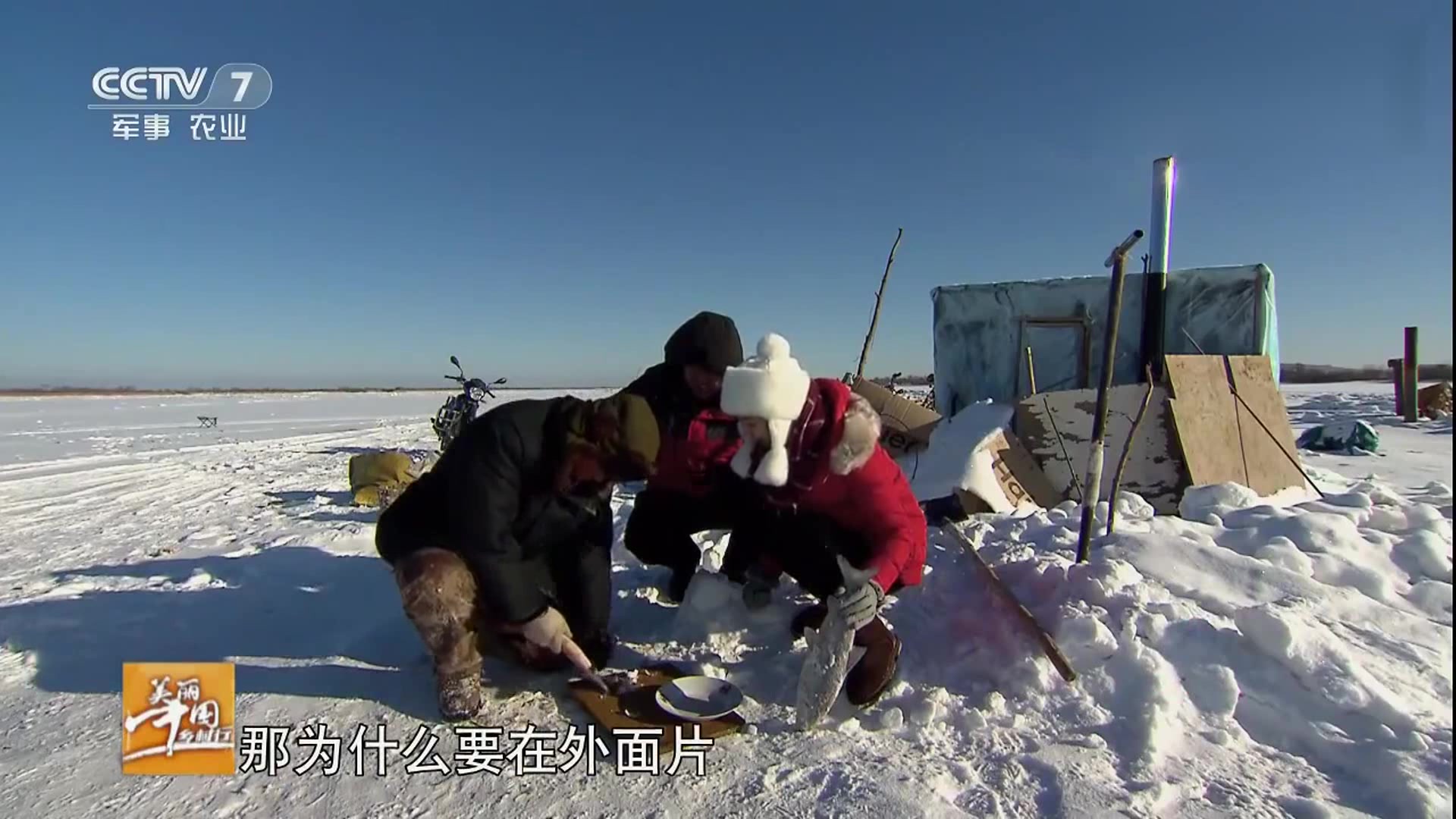 美丽中国乡村行:生鱼片的做法,再高明的厨师都比不过这个!