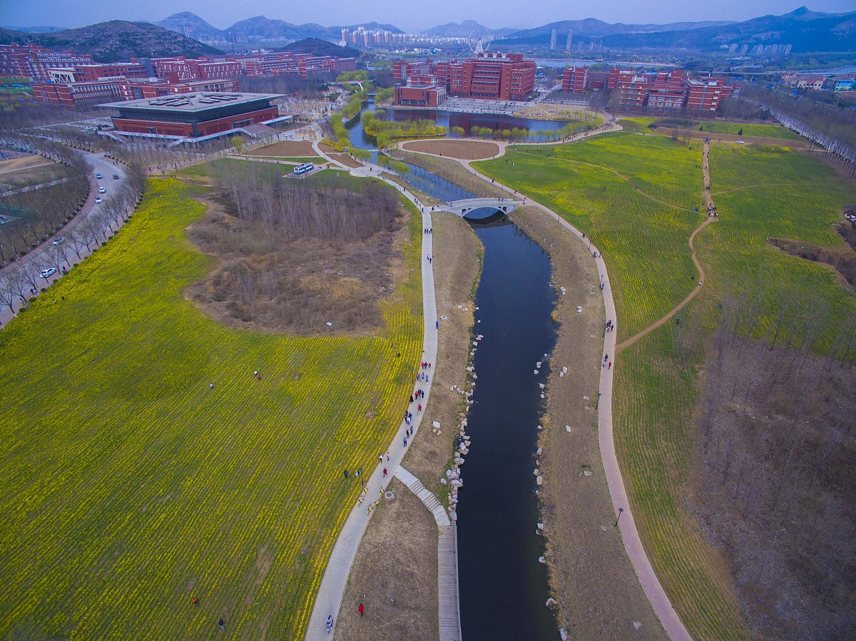 山东公路技师学院2023年有哪些专业