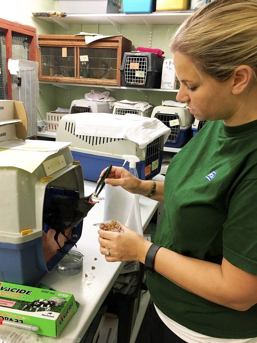 最大的手术：一个成语背后的深刻含义