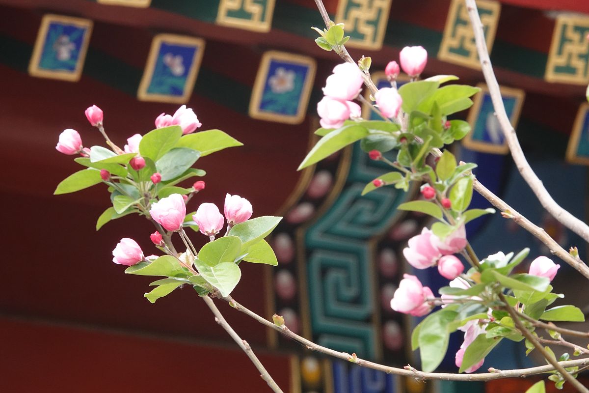 乐山师范学院五年制大专学校介绍 - 历史悠久，师资力量雄厚