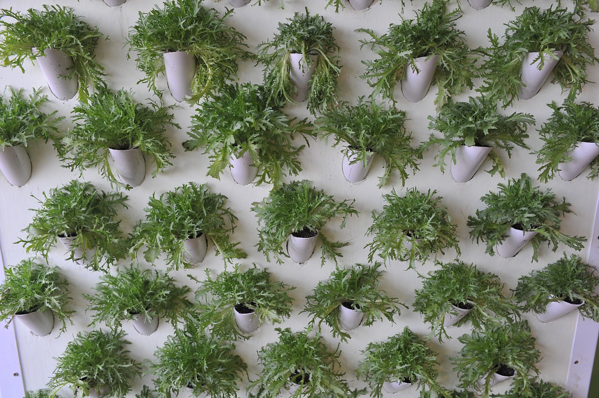 四川铁路运输学校办学理念：培养高素质铁路人才，服务国家发展