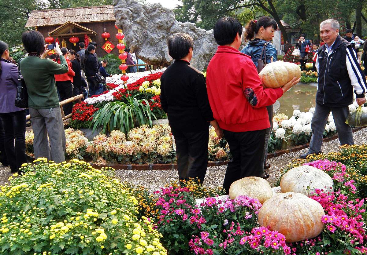 ***_***2009年11月7日,湖北宜昌菊花展上,现实版"qq开心农场"吸引许多