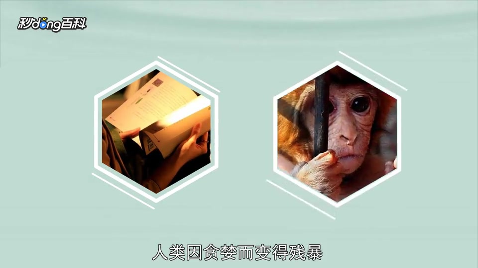 「秒懂百科」一分钟读懂黑天鹅紫水晶