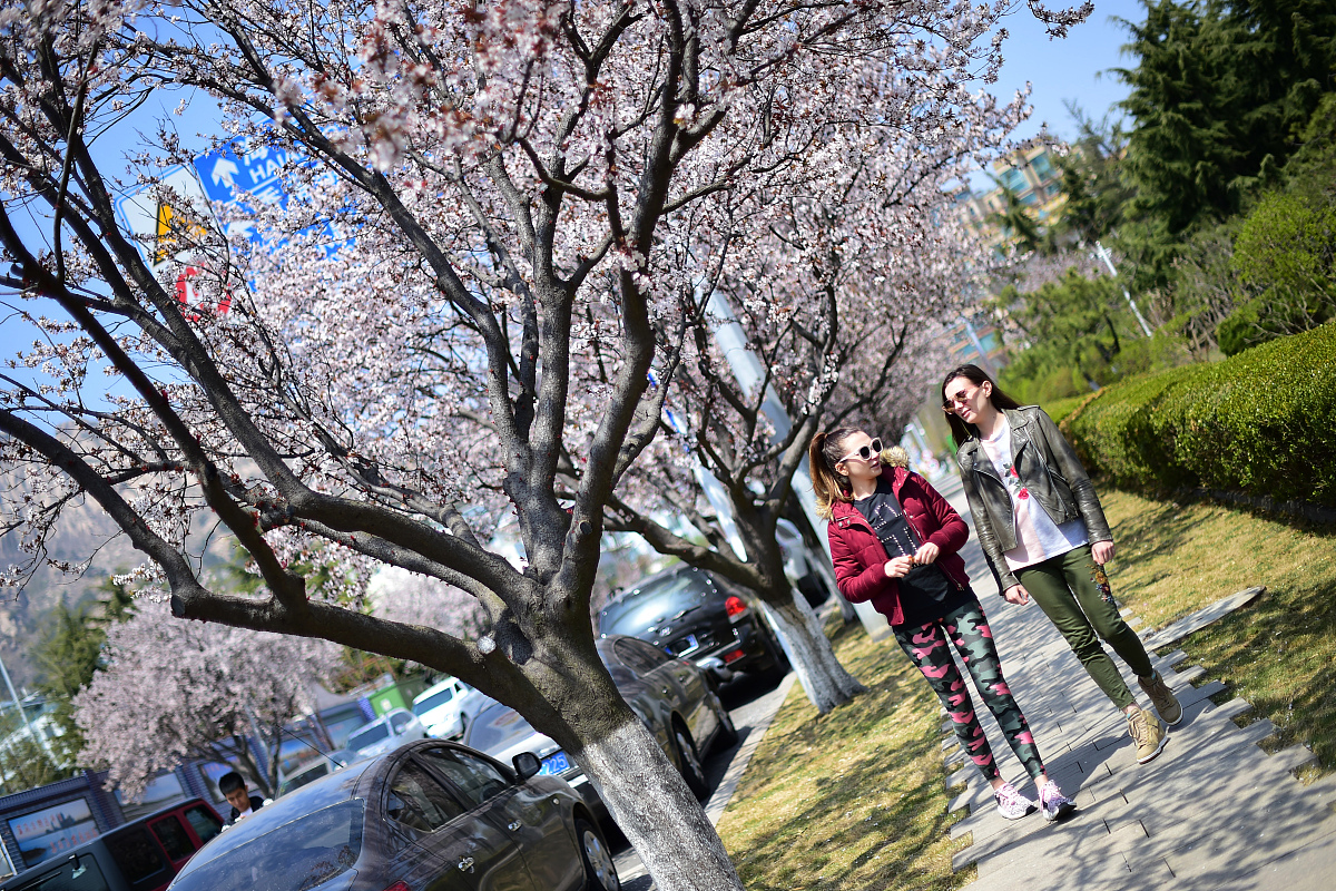 文科生能报考铁道工程专业吗？就业前景和学习建议