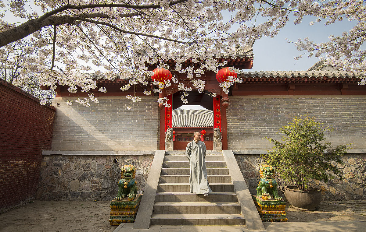 2019年3月28日下午,河南登封嵩山少林寺院内,几株樱花相继开放,煞是好