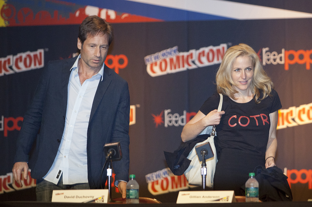 david duchovny and gillian anderson attend the <strong>q</strong> & a with david