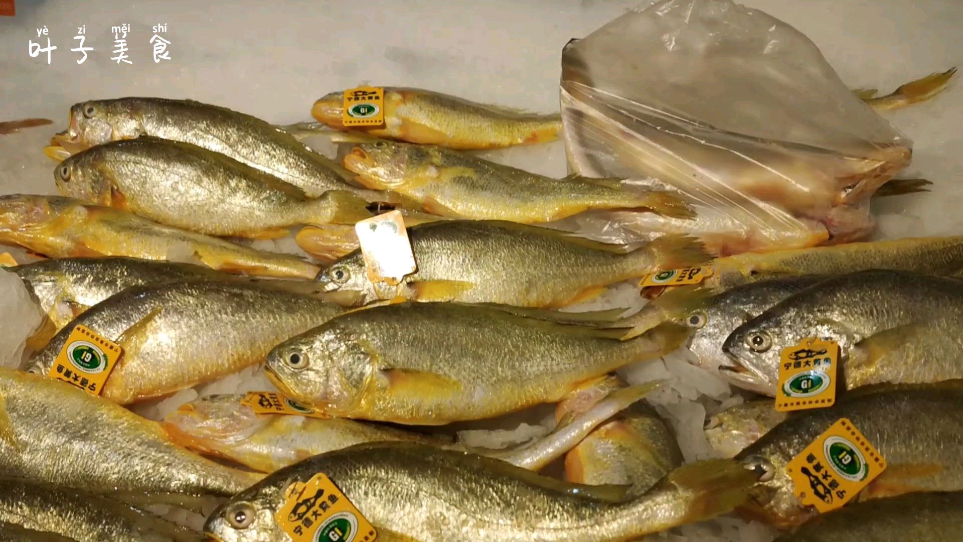 买鱼,看新不新鲜很简单,记住这6点小技巧,看一眼就能选到新鲜鱼