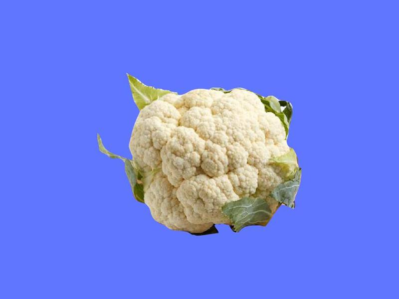 「秒懂百科」原来雪山花菜长这样