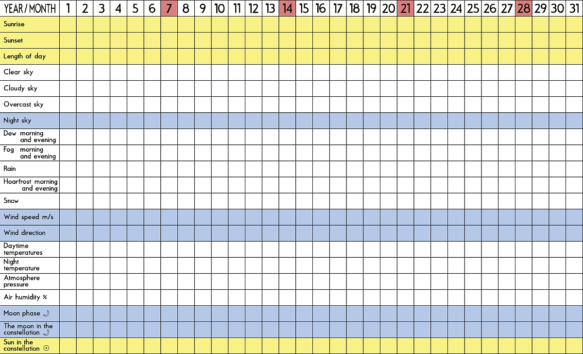 每周减肥计划表格：轻松追踪你的减肥目标