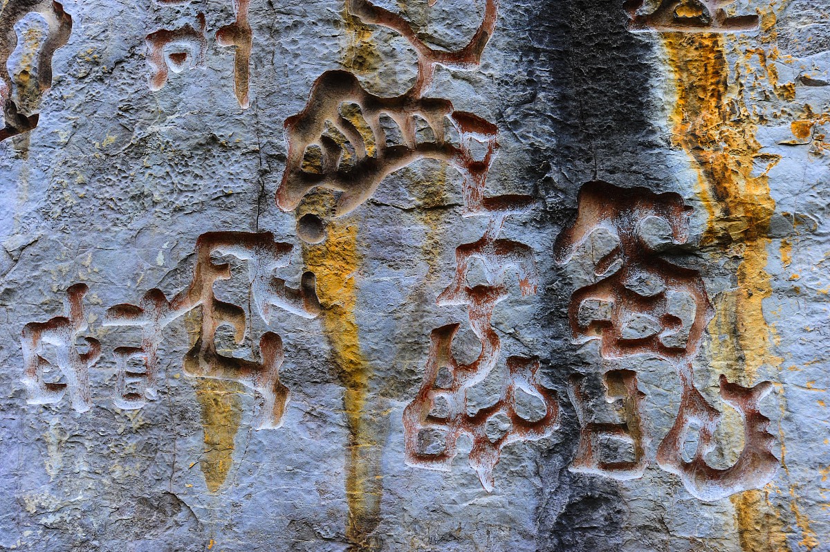 七秒轮回：金鱼之记 - 高中生爱情奇幻冒险