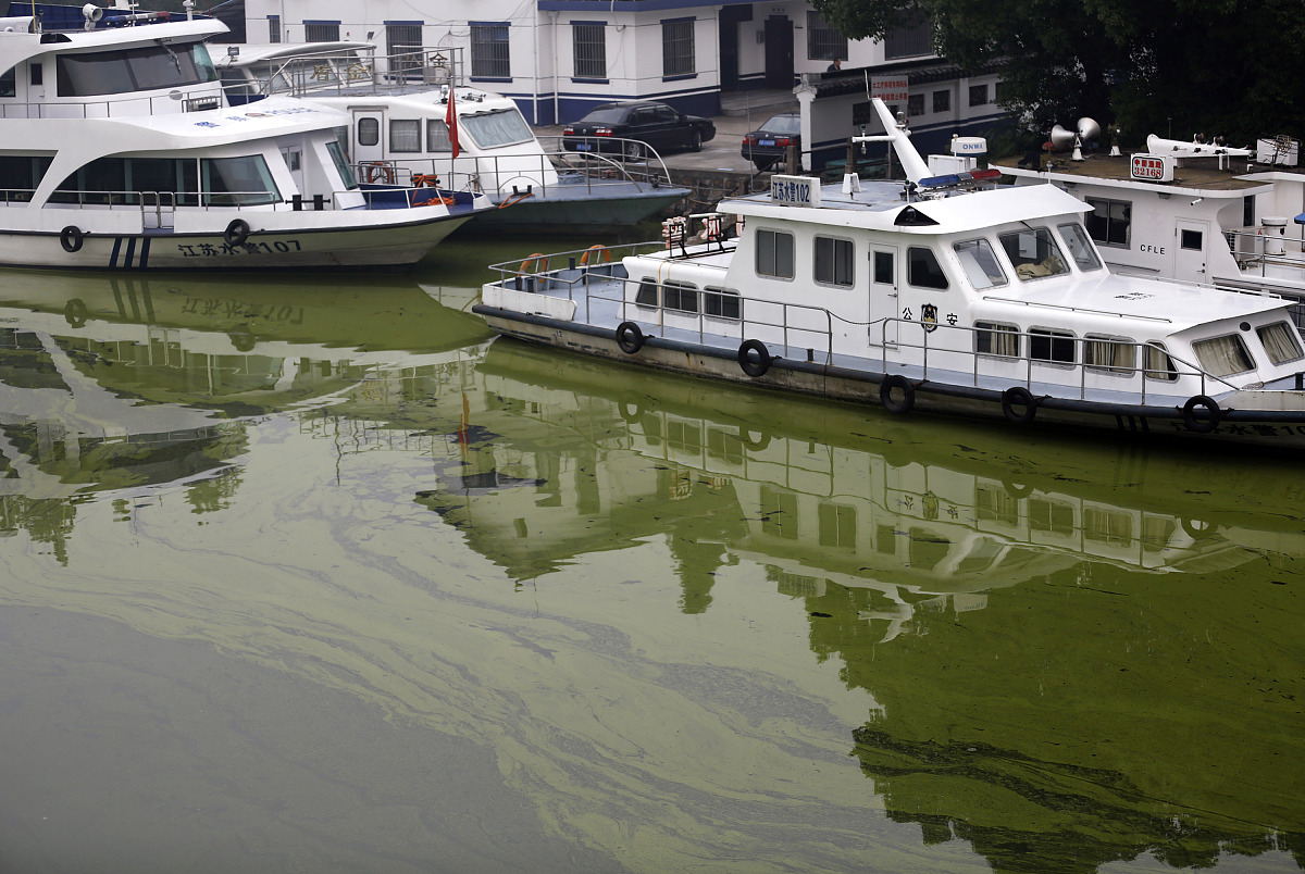 水产工程设计项目评审表（附详细评审标准）