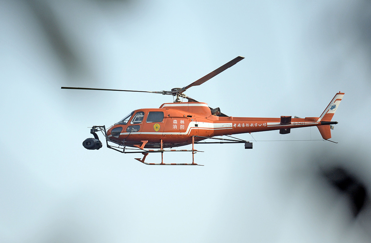 技师详情 - 专业技能 - 服务评价