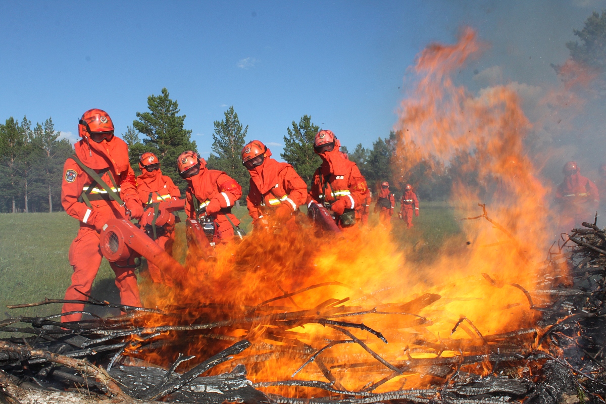 湖北2022年读卫校需要什么