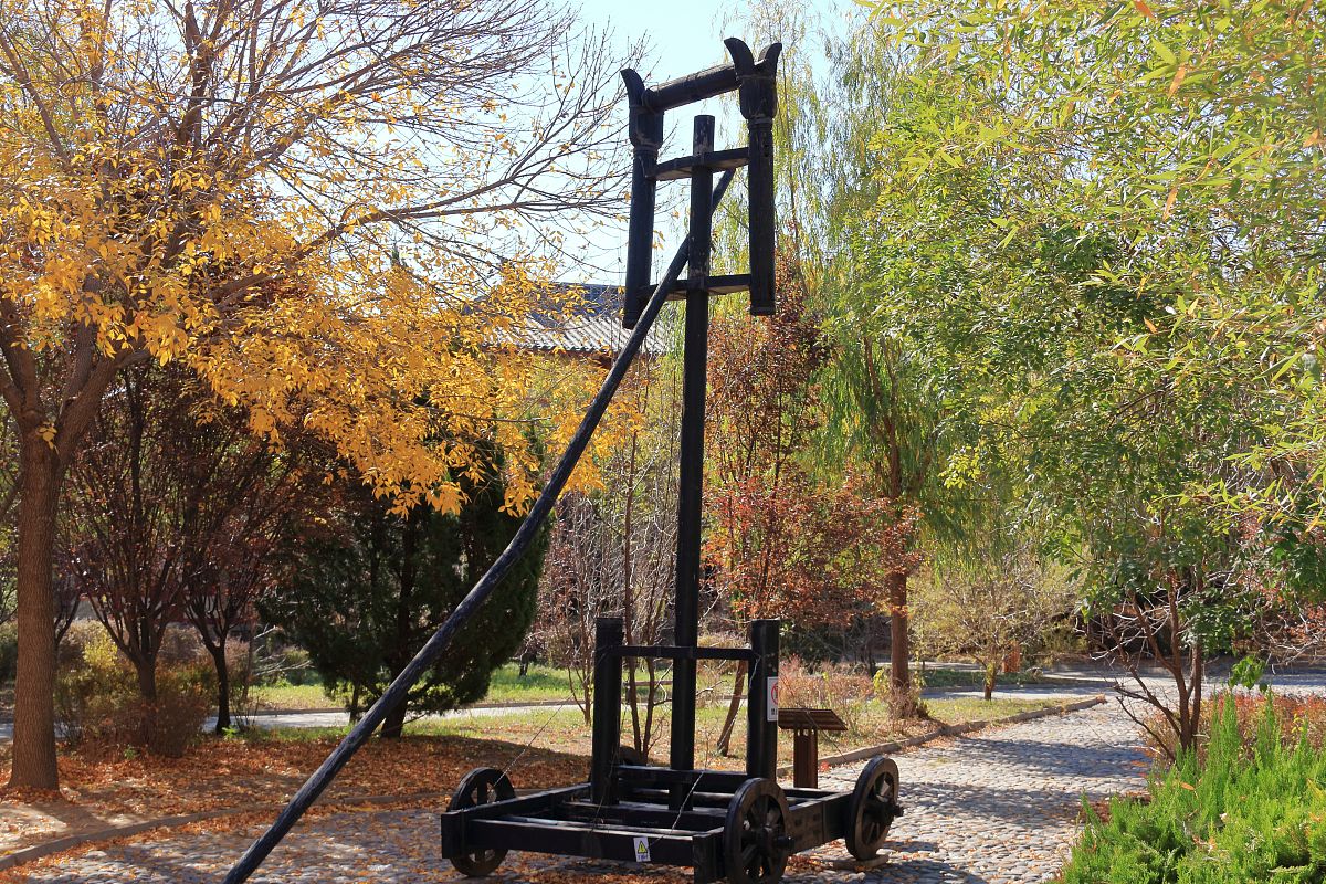 好客山东：齐鲁文化魅力，体验热情好客之情