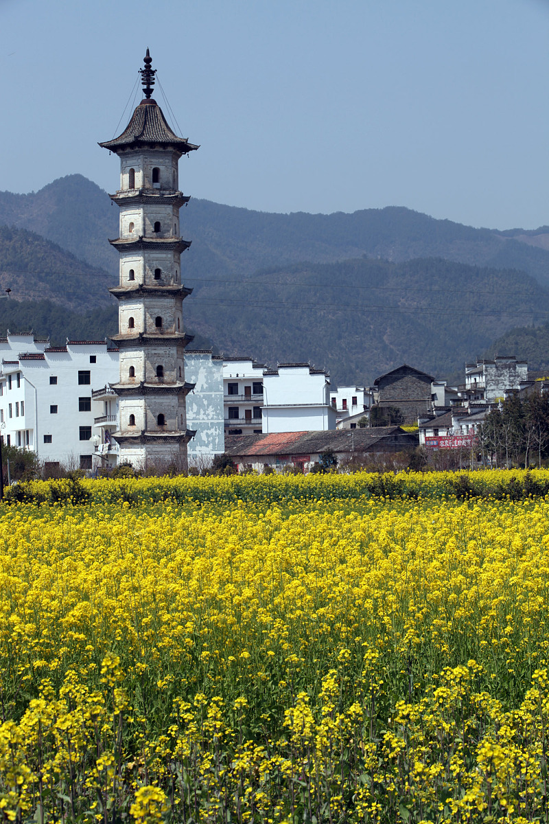 江西旅游商贸职业学院文秘专业好就业吗