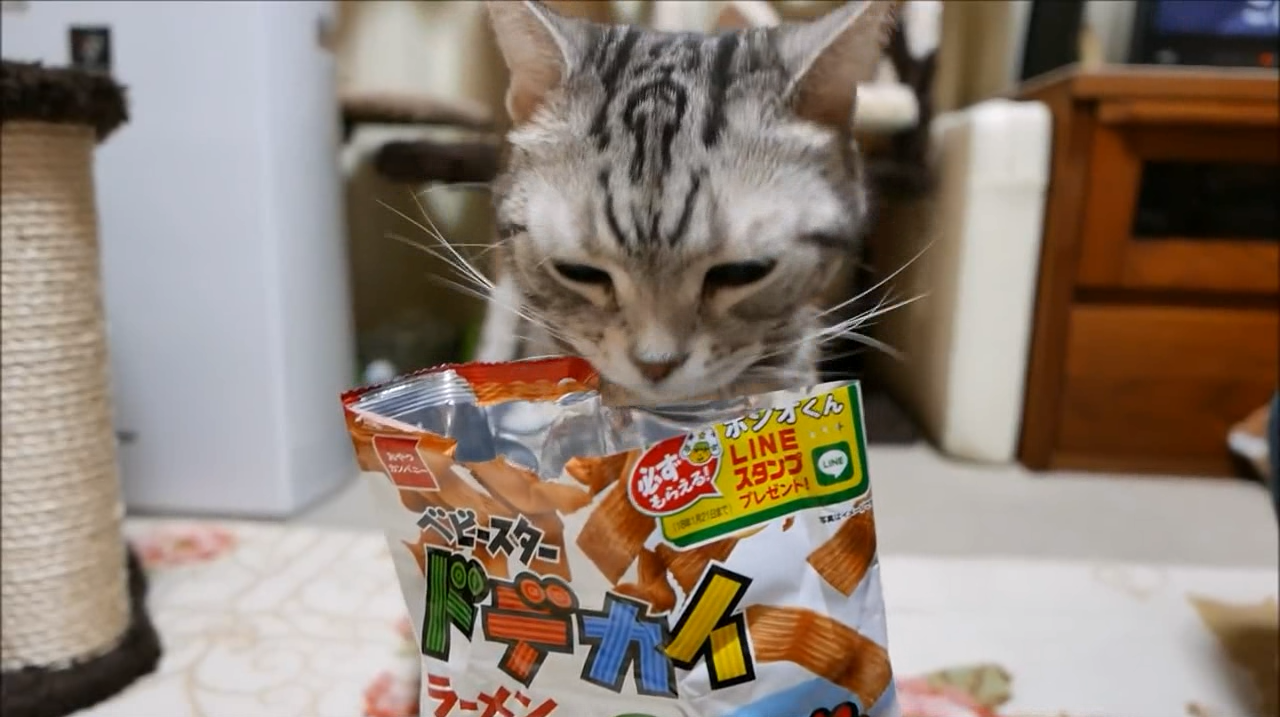 铲屎官拿了一包薯片给猫咪吃,结果一吃里面是空的