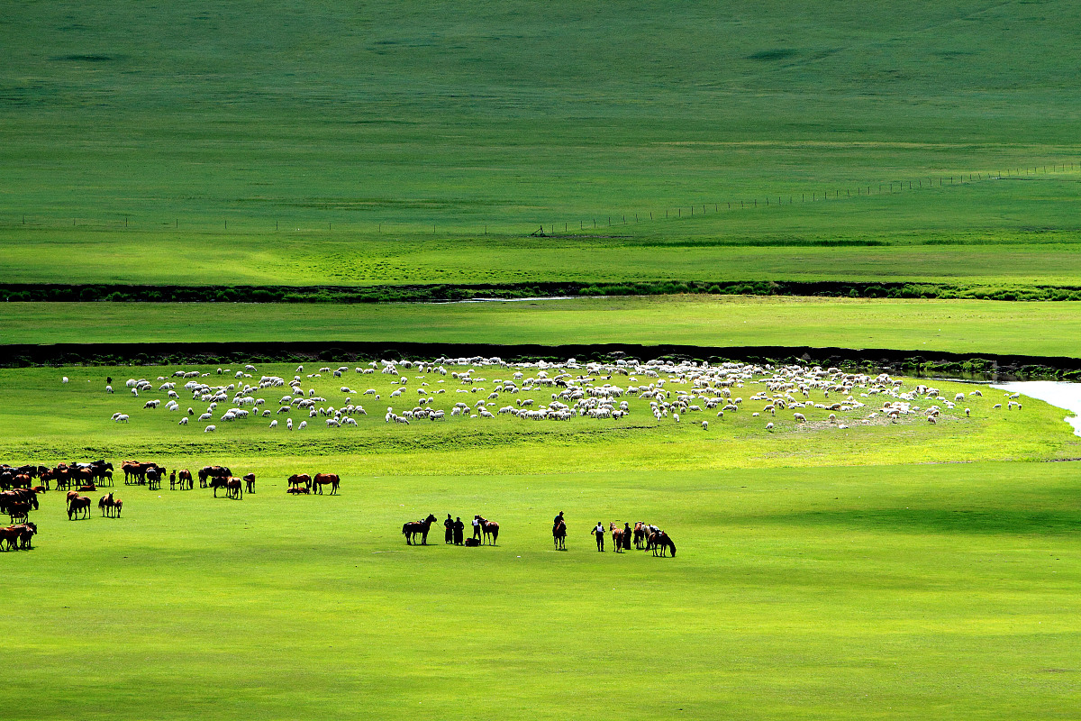 务川中等职业学校开设有哪些专业畜牧兽医专业好学吗