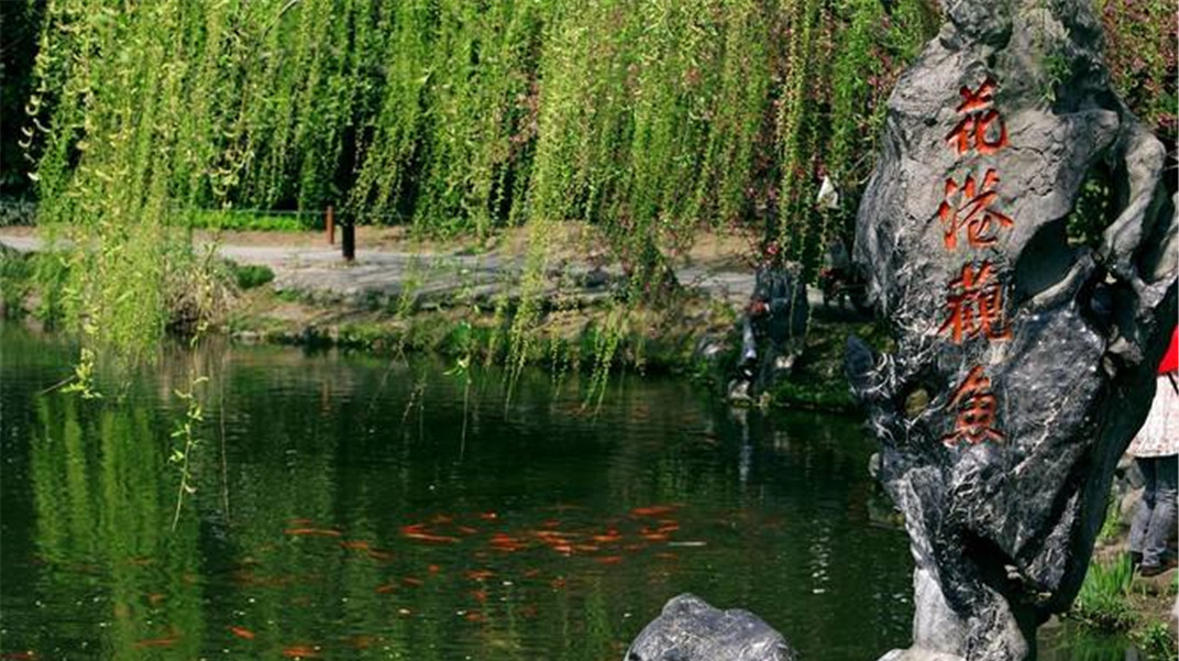 康熙在西湖故意写错1字,是因为他爱鱼吗?真相令人哭笑不得