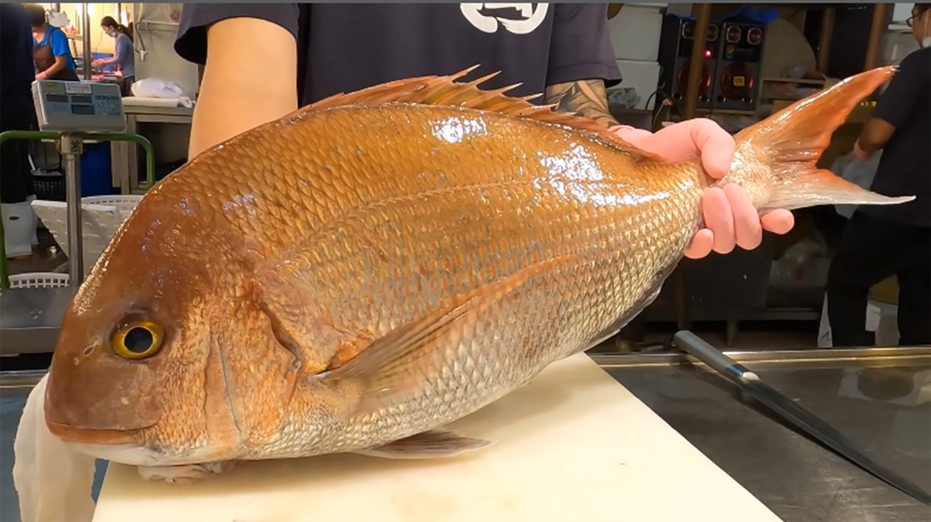 如果是第一次吃生鱼片,记住这鱼叫真鲷,吃一口就爱上了