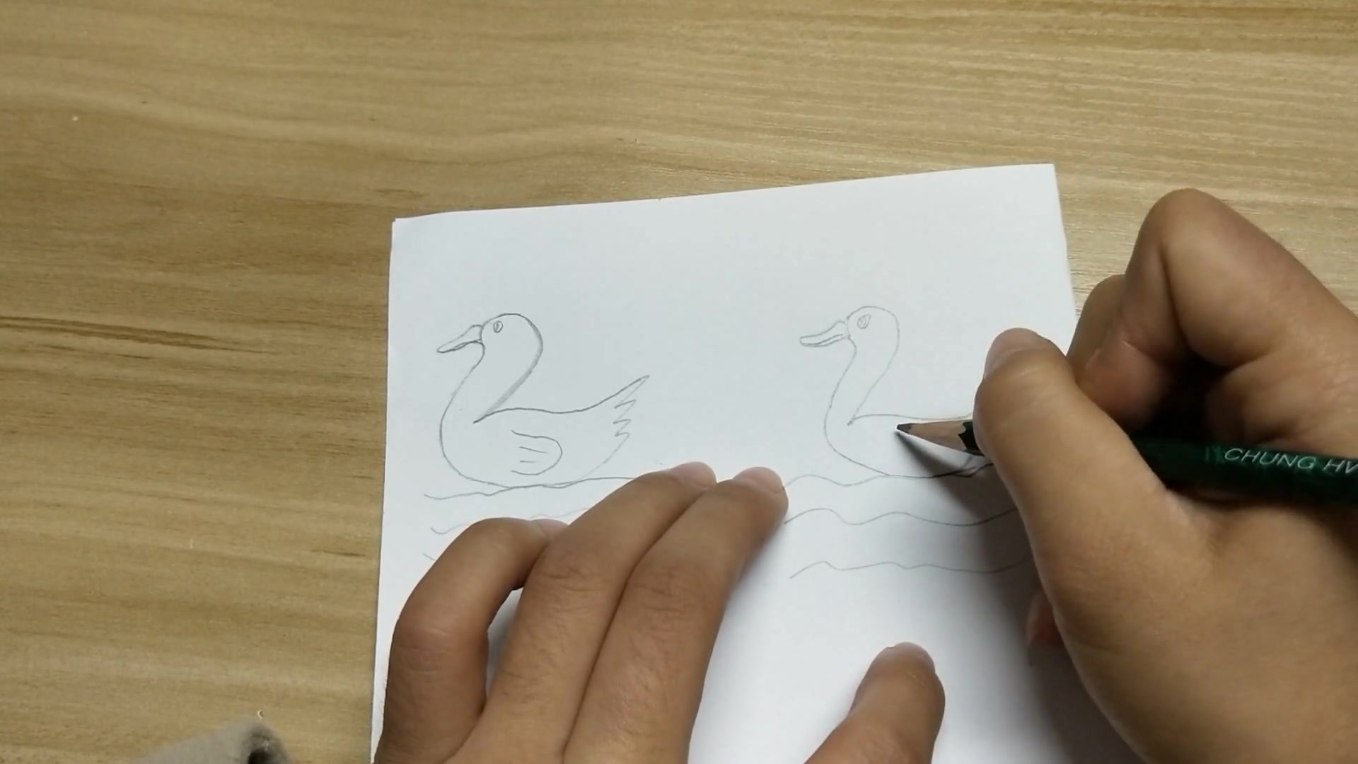 简笔画:用数字2画大白鹅,游在水里真自在