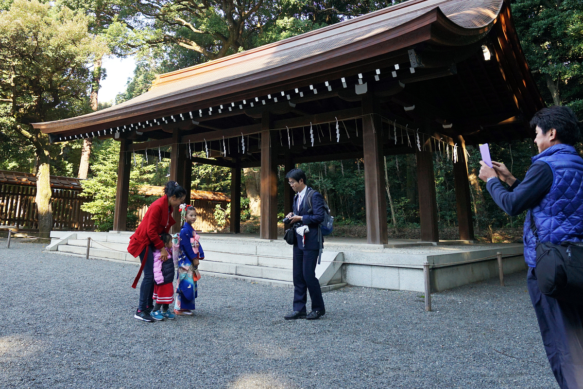 ***_***当地时间2017年11月05日,日本东京明治神宫,"七五三"节日期间,