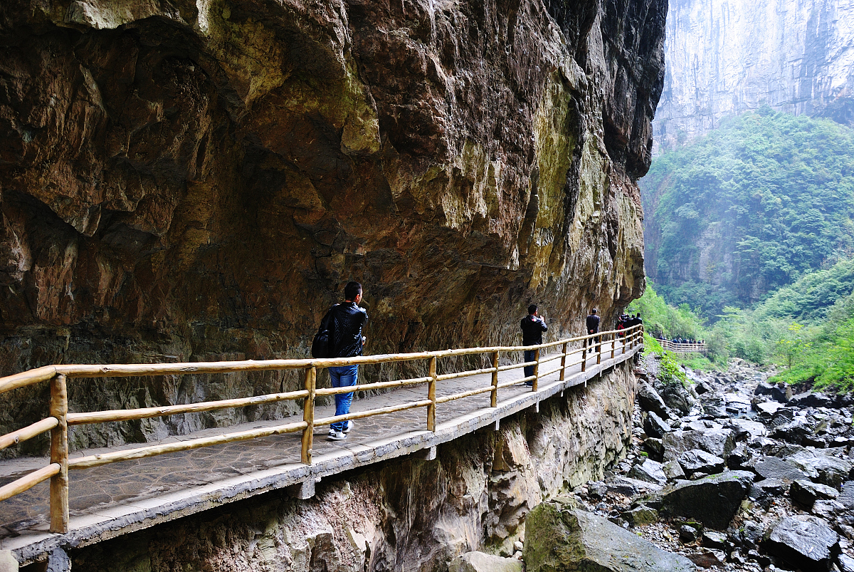 重庆旅游职业学院单招招生办联系方式 - 报考指南