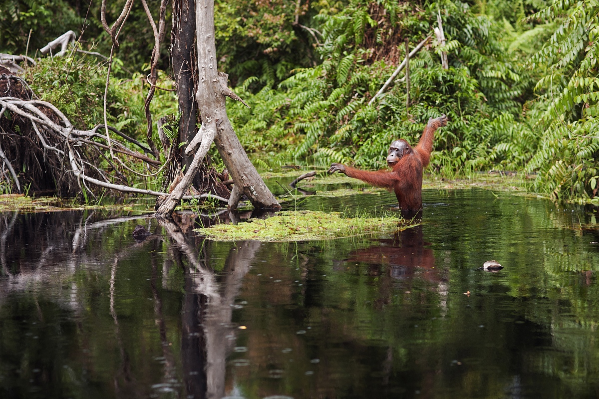Edward Hyde Burton: A Merchant's Surprising Tale of Kindness and Fate