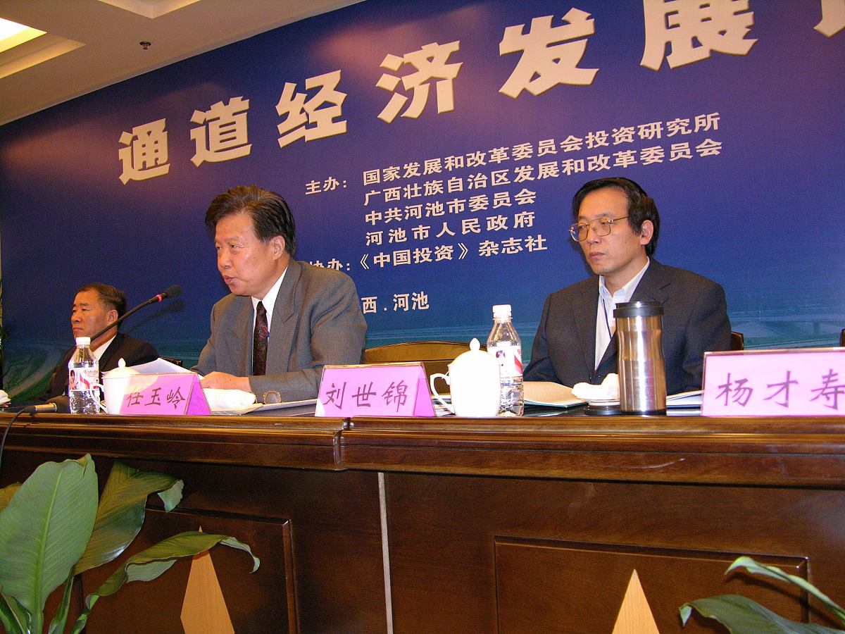 河池媒体曝光：揭秘这座充满活力与魅力的城市