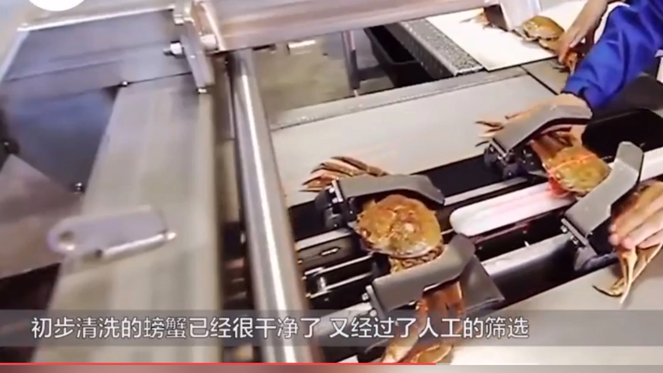 蟹柳都是螃蟹肉吗,看过后终于知道了