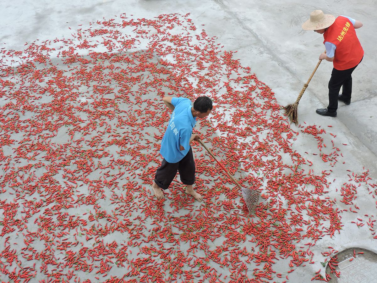 达州中专学校有哪些及相关排名情况