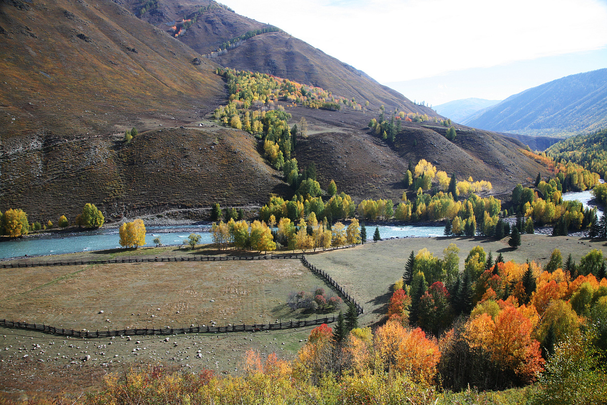 秋天的200字作文