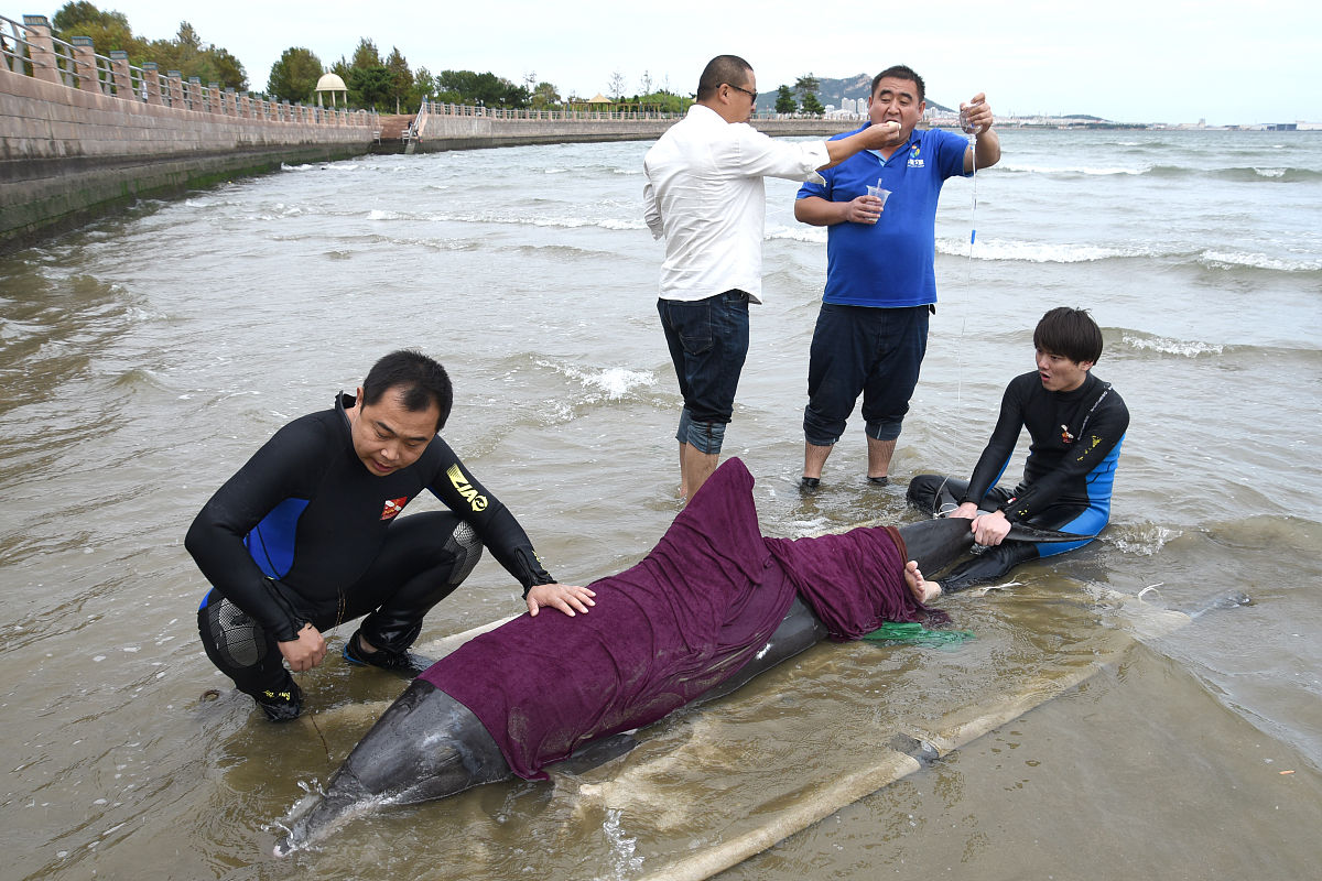 威海卫生学校2019年招生专业：医学影像、临床、中医等