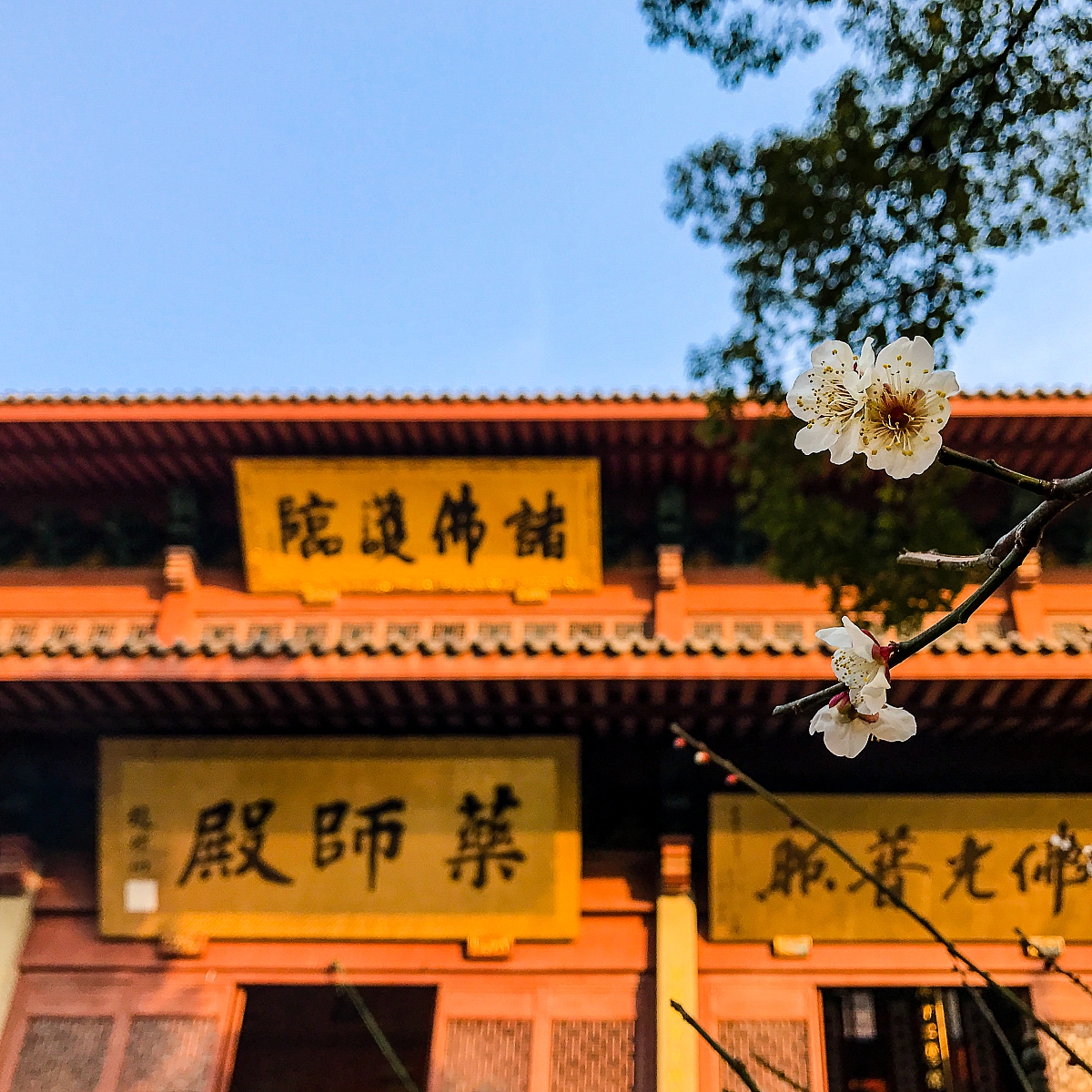 杭州中专学校排名_2023年杭州最好的中专学校推荐