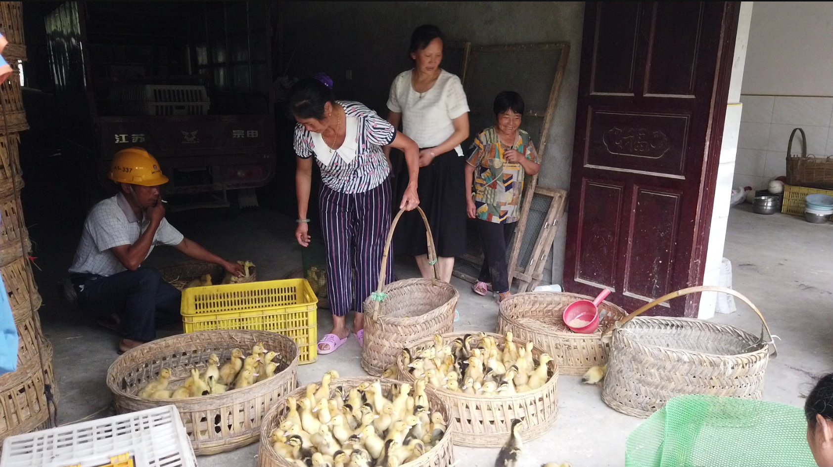 婆婆一大早去村里买鸭子,10块钱一只,小白感叹:今年物价太贵