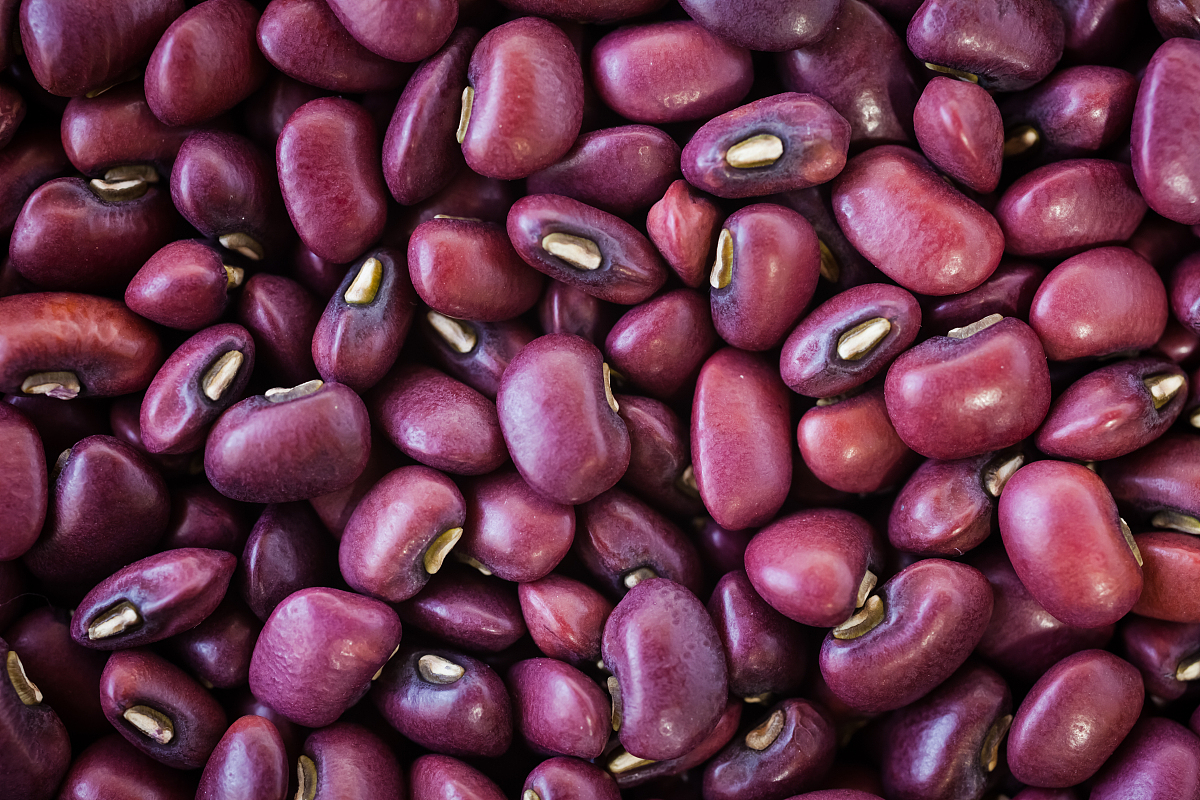 土耳其红扁豆有啥功效，