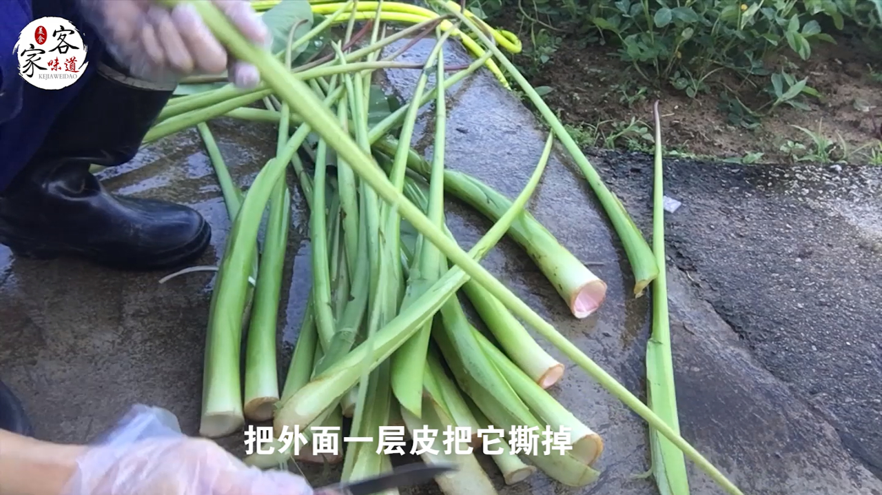 芋头苗别扔了,这样腌制吃起来酸爽开胃,客家人的最爱!