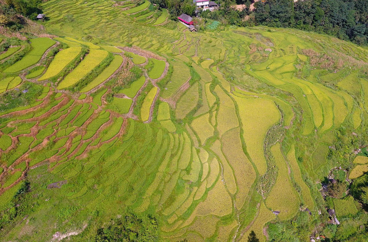 地轮周长1.8米，笼距45.5厘米，怎么计算肥量？