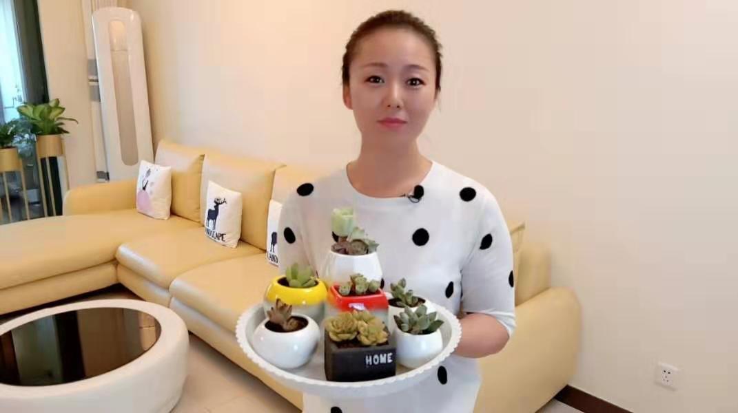 多肉“浇水”有技巧,不然浇一盆,烂一盆!