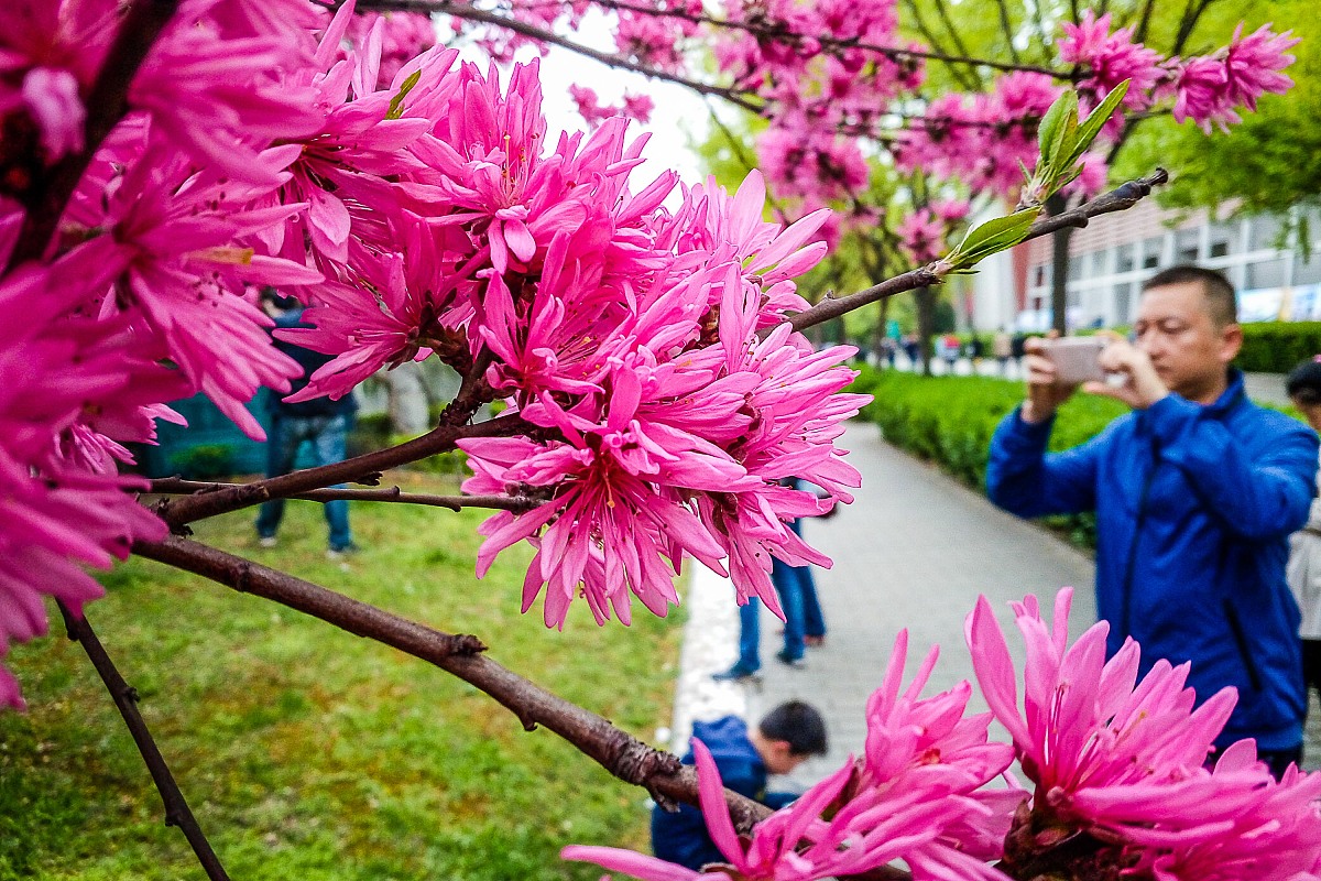 西安思源学院建筑工程管理专业招生人数及发展前景