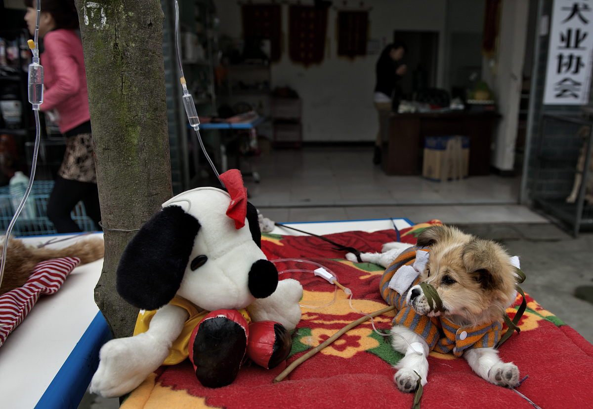 物业服务补充协议模板 - 免费下载